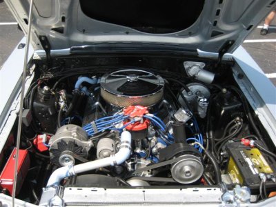 New Camera 039 (Small).jpg