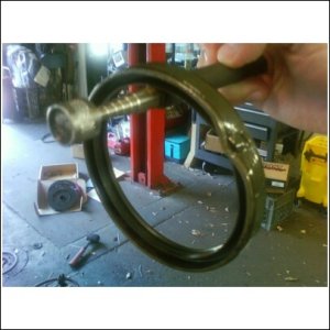 rear main.jpg