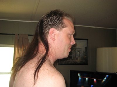 mullet.JPG