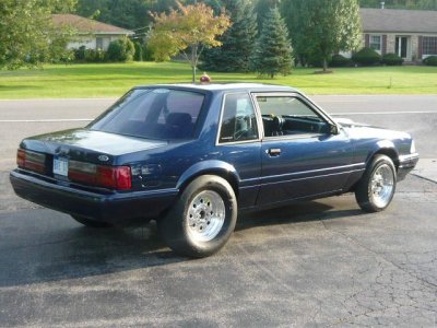 stang.jpg