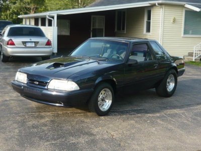 stang2.jpg