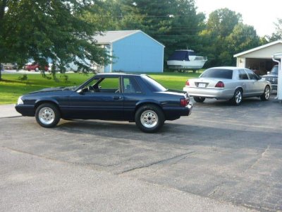 stang3.jpg