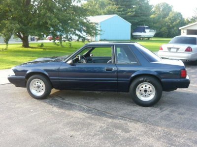 stang4.jpg