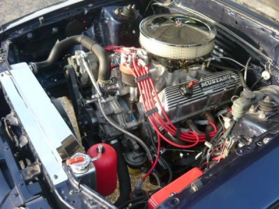 stang6.jpg