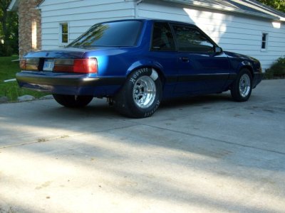 mustang pics 003.jpg