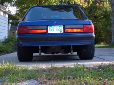 mustang pics 004.jpg