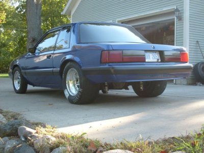 mustang pics 005.jpg
