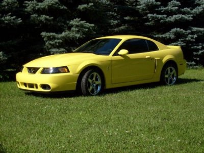 mustang pics 016.jpg