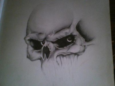 steves skull.jpg