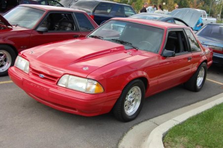 DSC_0239[1].jpg