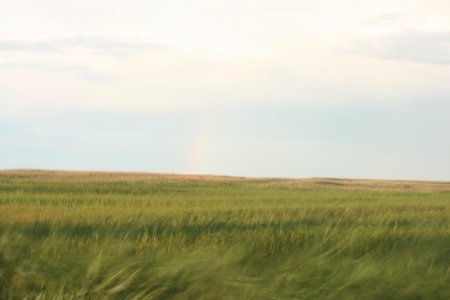 IMG_0283.jpg