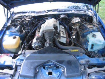 houseandcamaro 012.jpg