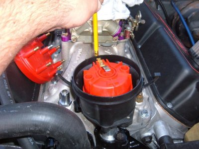 th_1225619253_mustang%20001.jpg