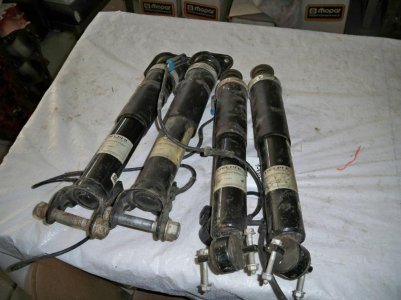 shocks (1).jpg