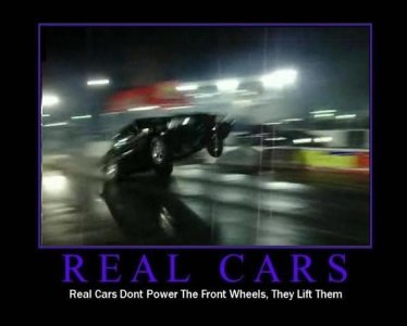 DANSWHEELIE.jpg