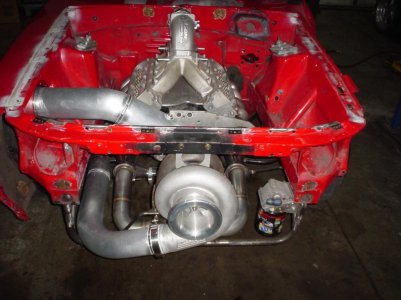mustang017.jpg