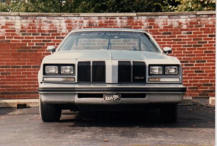 ba_cutlas_001.jpg