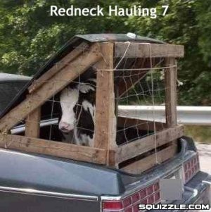 Redneck Hauling.jpg