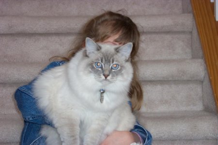 Misty (April 1 2008) 005.jpg