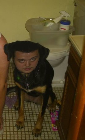 quick86 dog.jpg