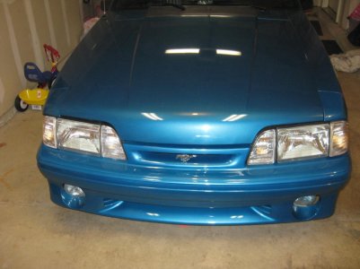 cobra 001.jpg