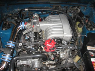 cobra 007.jpg