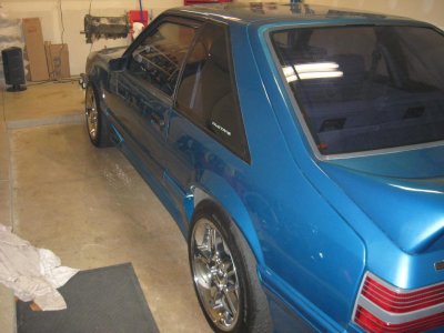 cobra 005.jpg