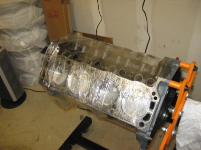 cobra 006.jpg