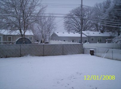 big snow nov 29th 002.jpg