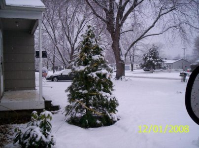 big snow nov 29th 007.jpg