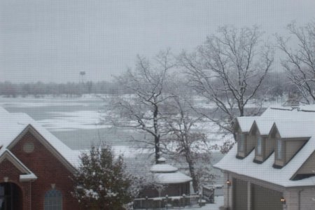 snow dec2008 003.jpg