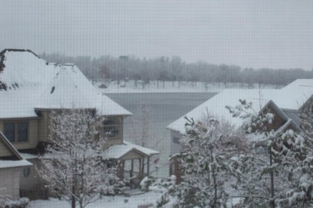 snow dec2008 004.jpg