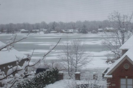 snow dec2008 005.jpg