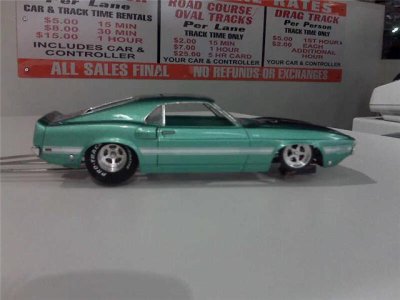 Shelby done.jpg
