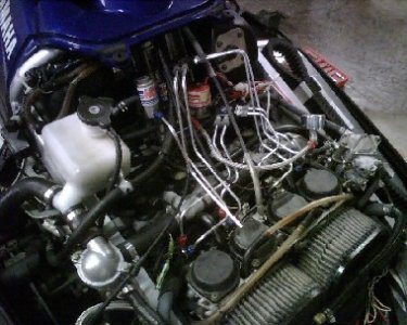 IMG00222.jpg