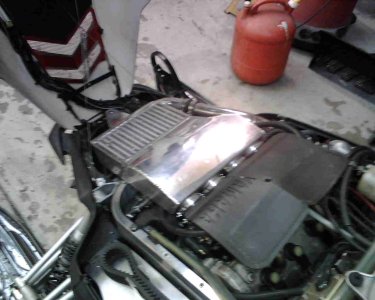 IMG00244.jpg
