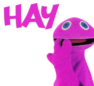 HAY.jpg