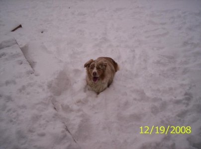 snowstorm2 002.JPG
