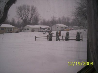 snowstorm2 004.JPG
