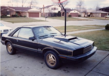 File0110.jpg
