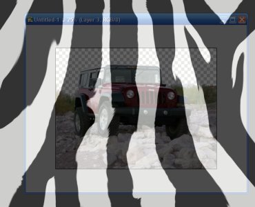 zebra camo.jpg