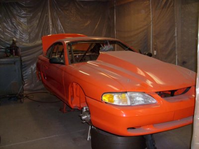 mustang pics 011.jpg