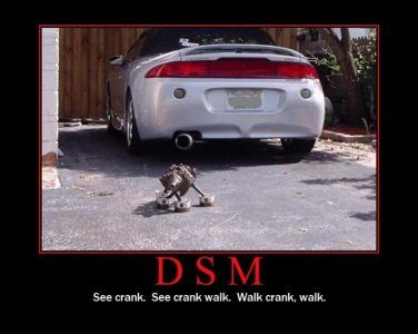 DSM.jpg