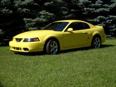 mustang pics 021.jpg