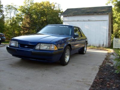 mustang pics 002.jpg