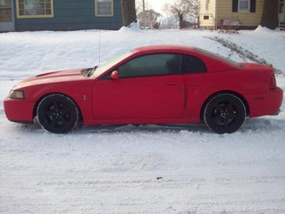 cobra-side.jpg