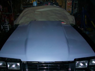 100_0043.jpg