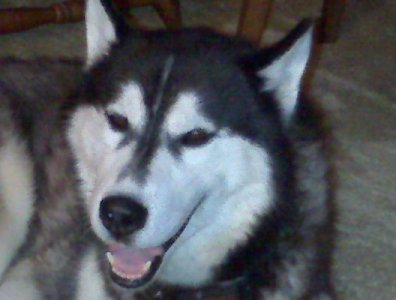 IMG00002.jpg