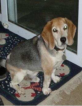 Snoopy  small.JPG