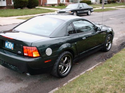 My whip.jpg